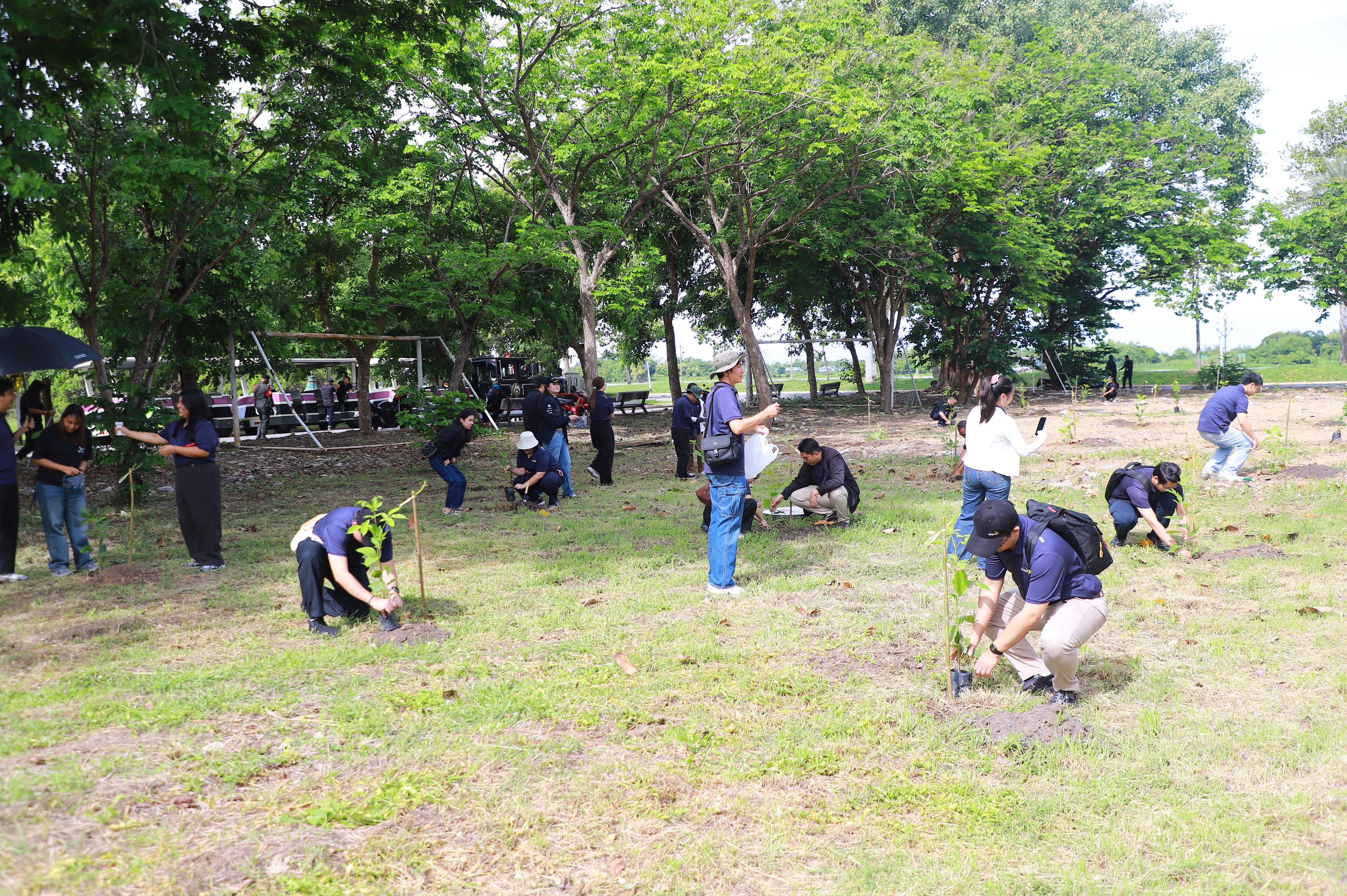 title - ส.ป.ก. - depa ร่วมใจปลูกต้นไม้ ภายใต้กิจกรรม CSR ปลูกต้นไม้ (Grow Green) เพิ่มพื้นที่สีเขียว ลด CO2 ณ ศูนย์ส่งเสริมและพัฒนาอาชีพเสริมนอกภาคการเกษตร